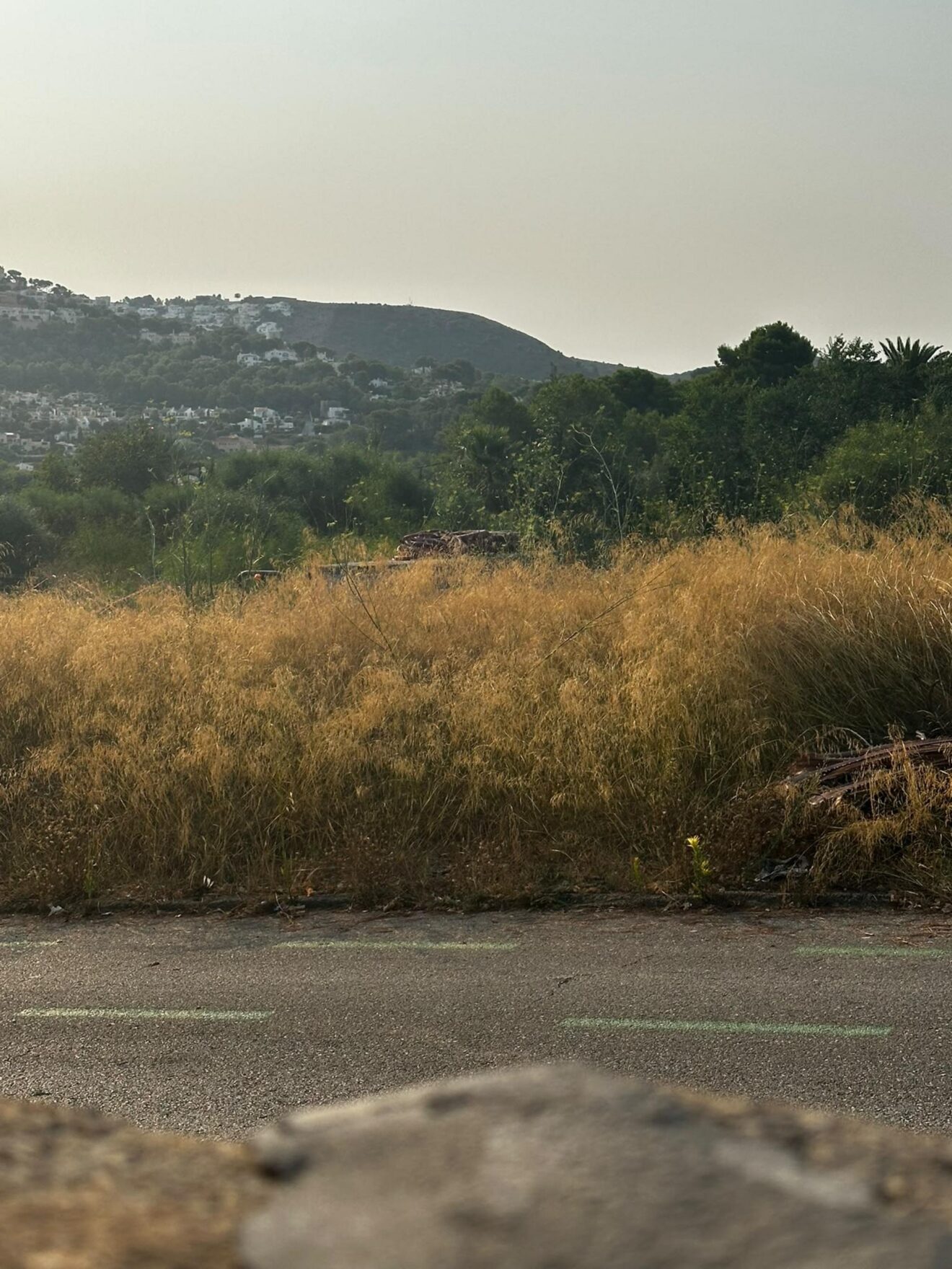 Parcela con vegetación seca y riesgo de incendio en Teulada-Moraira