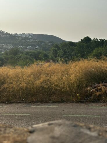 Parcela con vegetación seca y riesgo de incendio en Teulada-Moraira