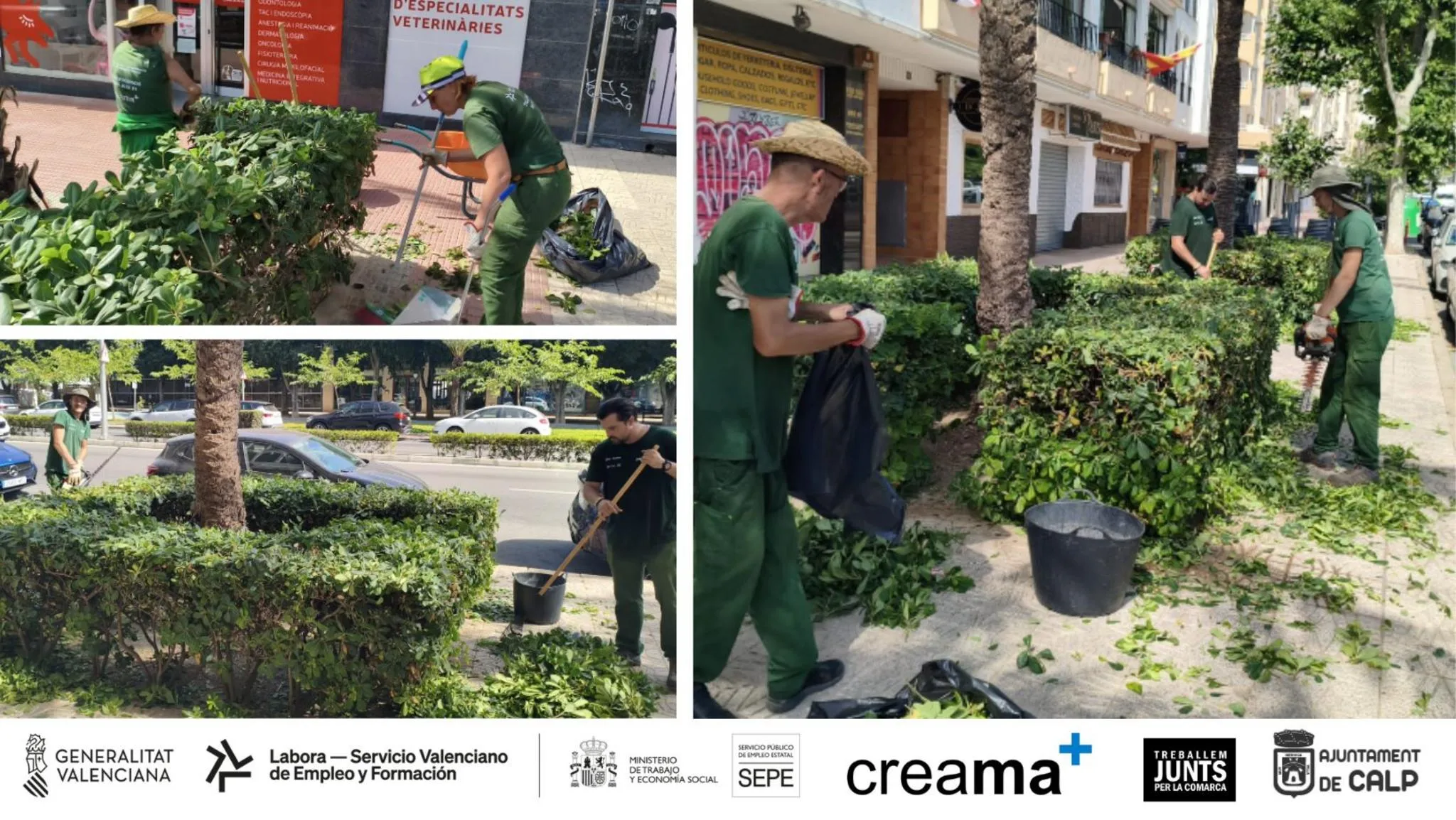 Collage de imágenes que muestra a alumnos del Taller de Empleo de Creama realizando trabajos de poda y limpieza en jardines de Calp, con logotipos institucionales al pie.