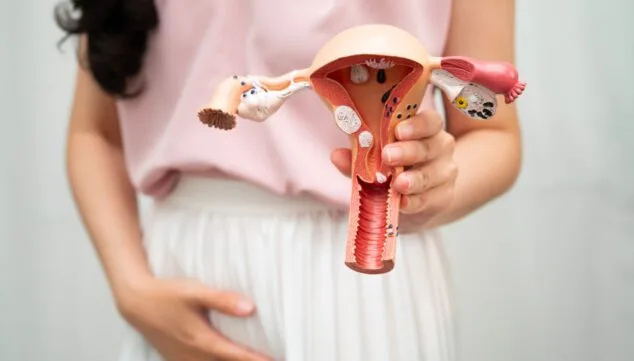 preparacion endometrial sencilla