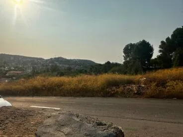 Vista de un terreno con hierba seca y árboles bajo el sol.