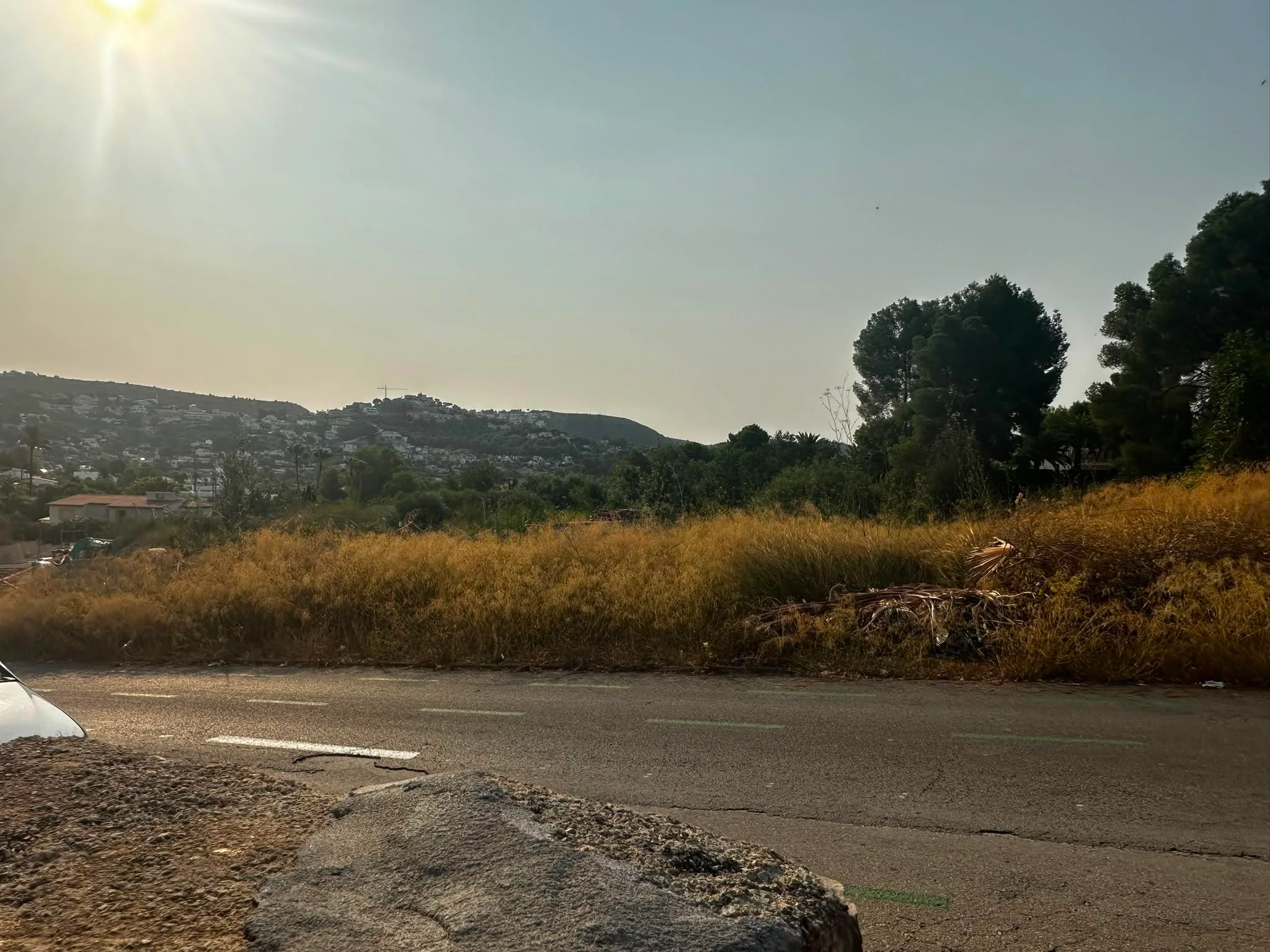 Vista de un terreno con hierba seca y árboles bajo el sol.