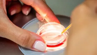 Supera el envejecimiento natural de los óvulos