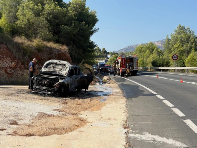 Un vehículo arde en la N-332 y obliga a cortar la carretera a la altura de Gata 2 Imagen: Restos calcinados de un vehículo en el arcén de la carretera N-332, con un camión de bomberos y personal de emergencia al fondo.