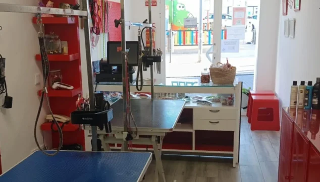 corte y secado de pelo