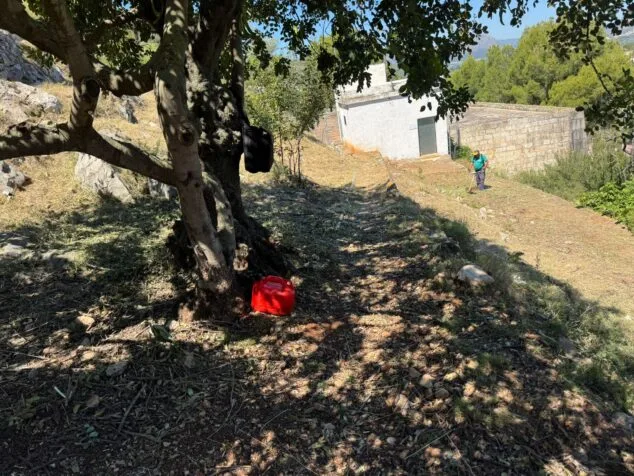 Pedreguer actúa contra incendios con un gran desbroce en dos zonas montañosas 7 Un operario utiliza una desbrozadora para limpiar vegetación seca en una ladera forestal en Pedreguer.
