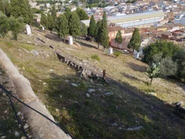 Trabajos de desbroce en una franja forestal de Pedreguer