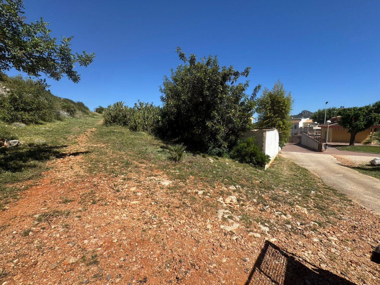 Zona de trabajos de desbroce para prevención de incendios en Pedreguer