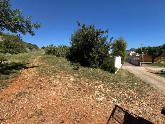 Pedreguer actúa contra incendios con un gran desbroce en dos zonas montañosas 10 Camino de tierra ascendente rodeado de vegetación y árboles en una zona periurbana de Pedreguer bajo un cielo azul.