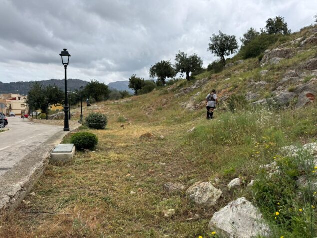Pedreguer actúa contra incendios con un gran desbroce en dos zonas montañosas 9 Un operario con desbrozadora limpia una ladera con vegetación seca cerca de una calle y viviendas en Pedreguer bajo un cielo nublado.