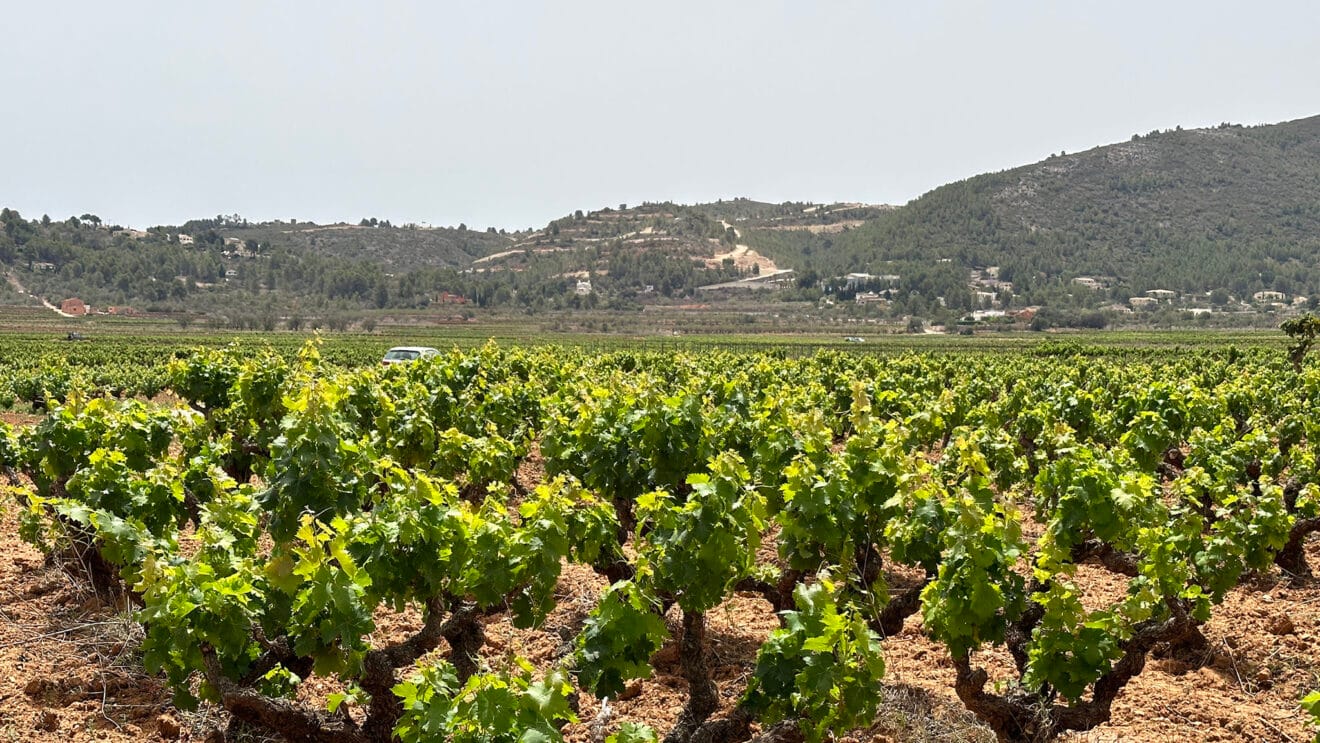 El PAI Medina Llíber desde la localidad