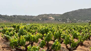 El PAI Medina Llíber desde la localidad