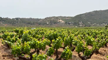 El PAI de Llíber al Congreso: Compromís-Sumar pregunta a la CHJ qué medidas tomará ante la falta de agua 2 el pai medina lliber desde la localidad