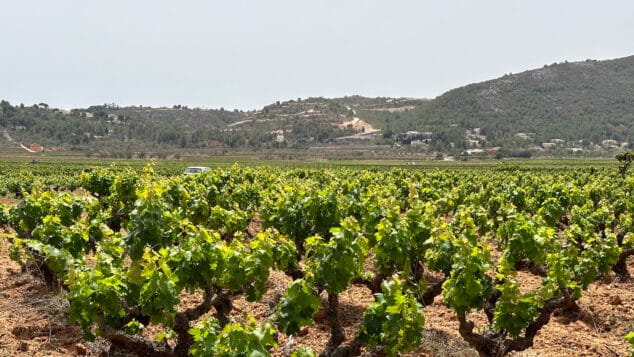 Imagen: El PAI Medina Llíber desde la localidad