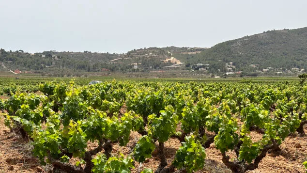 El PAI de Llíber al Congreso: Compromís-Sumar pregunta a la CHJ qué medidas tomará ante la falta de agua 12 el pai medina lliber desde la localidad