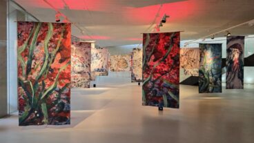 Exposición «Arrels Mediterrànies» de Ximo Canet