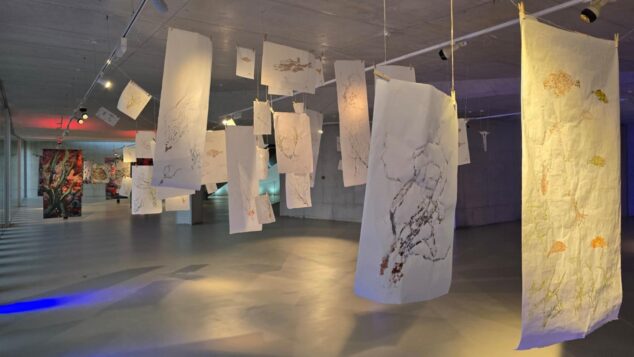 «Arrels Mediterrànies» abre Alere/Dolia 2026 con el arte de Ximo Canet como puente entre el mar y la tierra 8 Instalación artística con láminas colgantes en el Auditori Teulada Moraira.