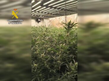 Plantación de marihuana desmantelada por la Guardia Civil en la Marina Alta
