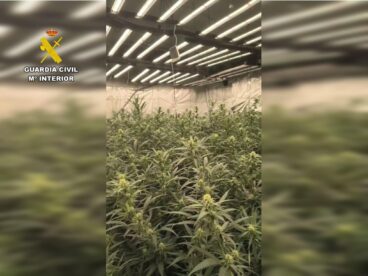 Operación de la Guardia Civil contra el cultivo de marihuana en la Marina Alta