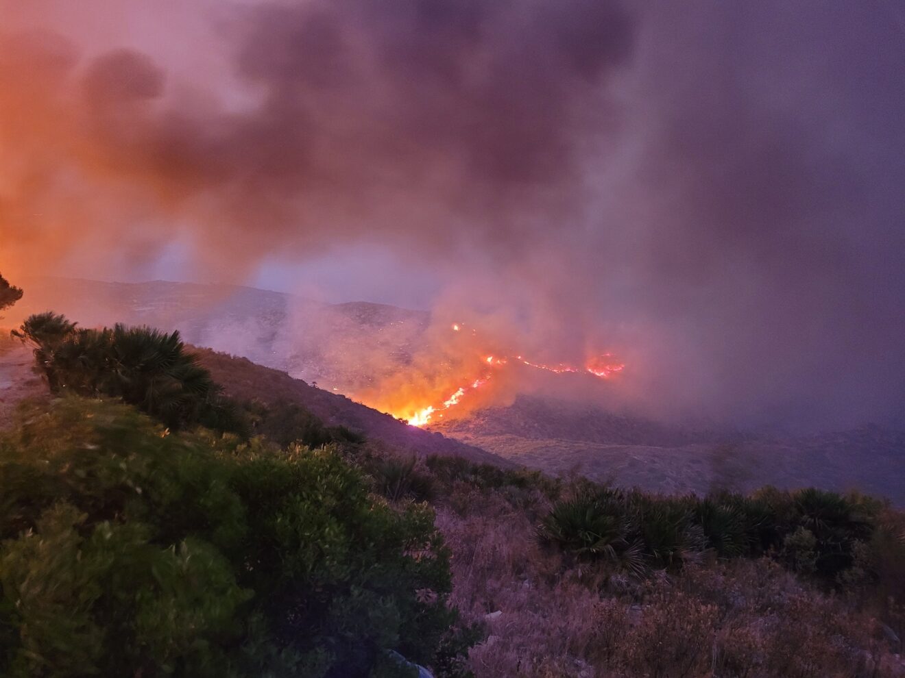 Incendio en el interior de la Marina Alta (archivo)