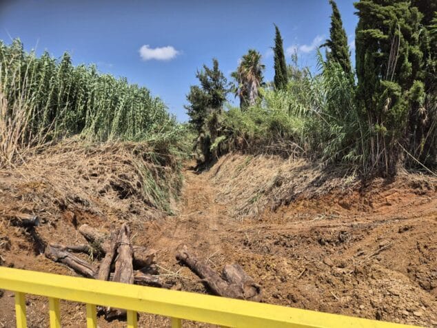 Imagen: Un tramo de barranco en Ondara con cañas retiradas y el cauce despejado de vegetación.