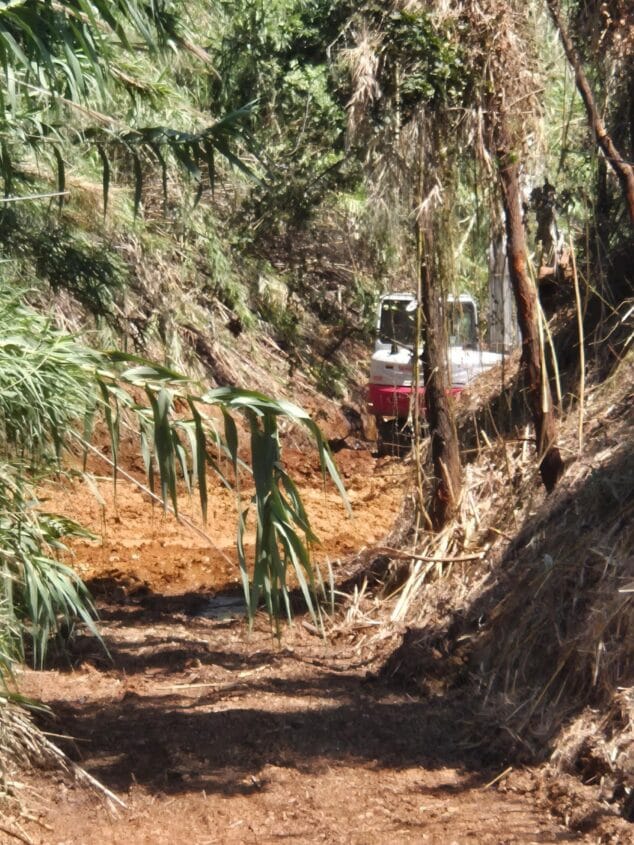 Imagen: Excavadora pequeña limpiando el cauce seco de un barranco rodeado de cañas y vegetación.