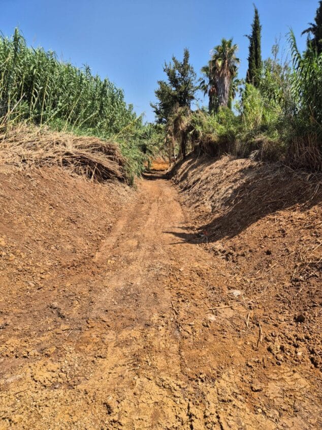 Imagen: Cauce de tierra despejado en un barranco de Ondara rodeado de cañas tras trabajos de limpieza.