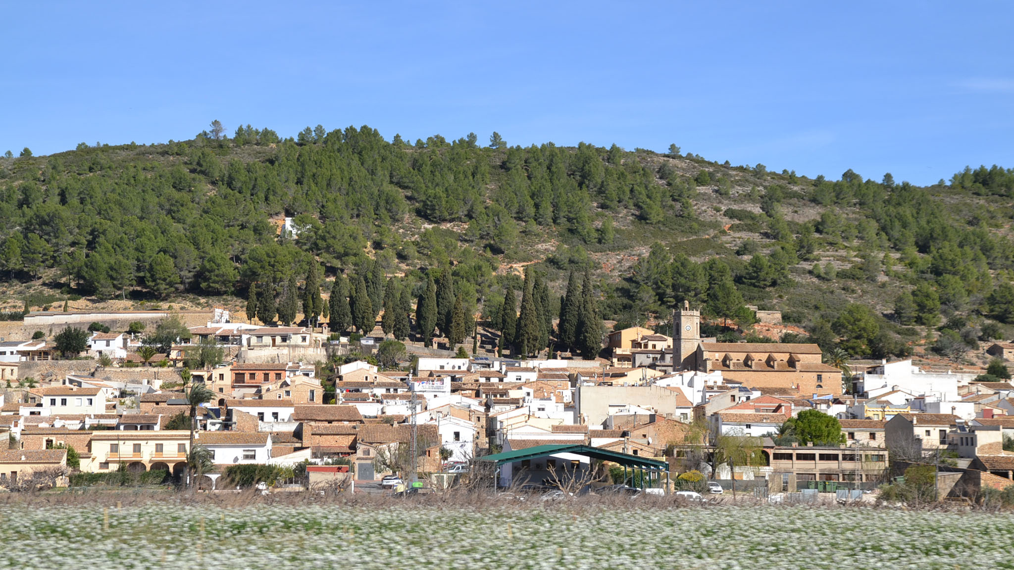lliber segundo municipio de toda la marina alta con mayor porcentaje de poblacion