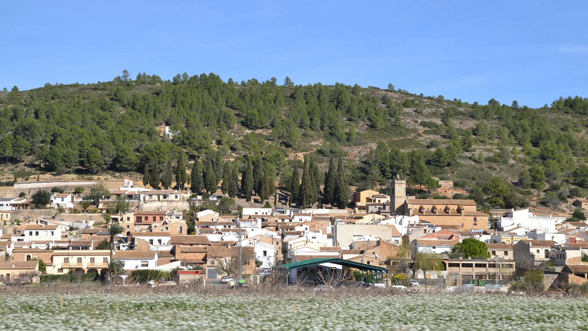lliber segundo municipio de toda la marina alta con mayor porcentaje de poblacion