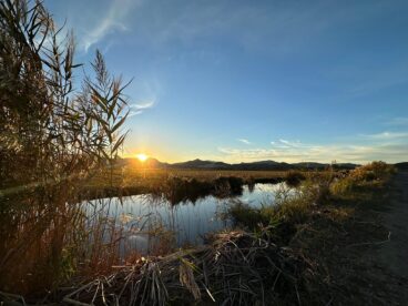 El Parque Natural de la Marjal Pego-Oliva permanecerá cerrado al público el día del eclipse solar 4 Paisaje del Parque Natural de la Marjal Pego-Oliva al atardecer, con un canal de agua y vegetación de juncos en primer plano y montañas al fondo.