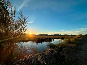 El Parque Natural de la Marjal Pego-Oliva permanecerá cerrado al público el día del eclipse solar 9 Paisaje del Parque Natural de la Marjal Pego-Oliva al atardecer, con un canal de agua y vegetación de juncos en primer plano y montañas al fondo.