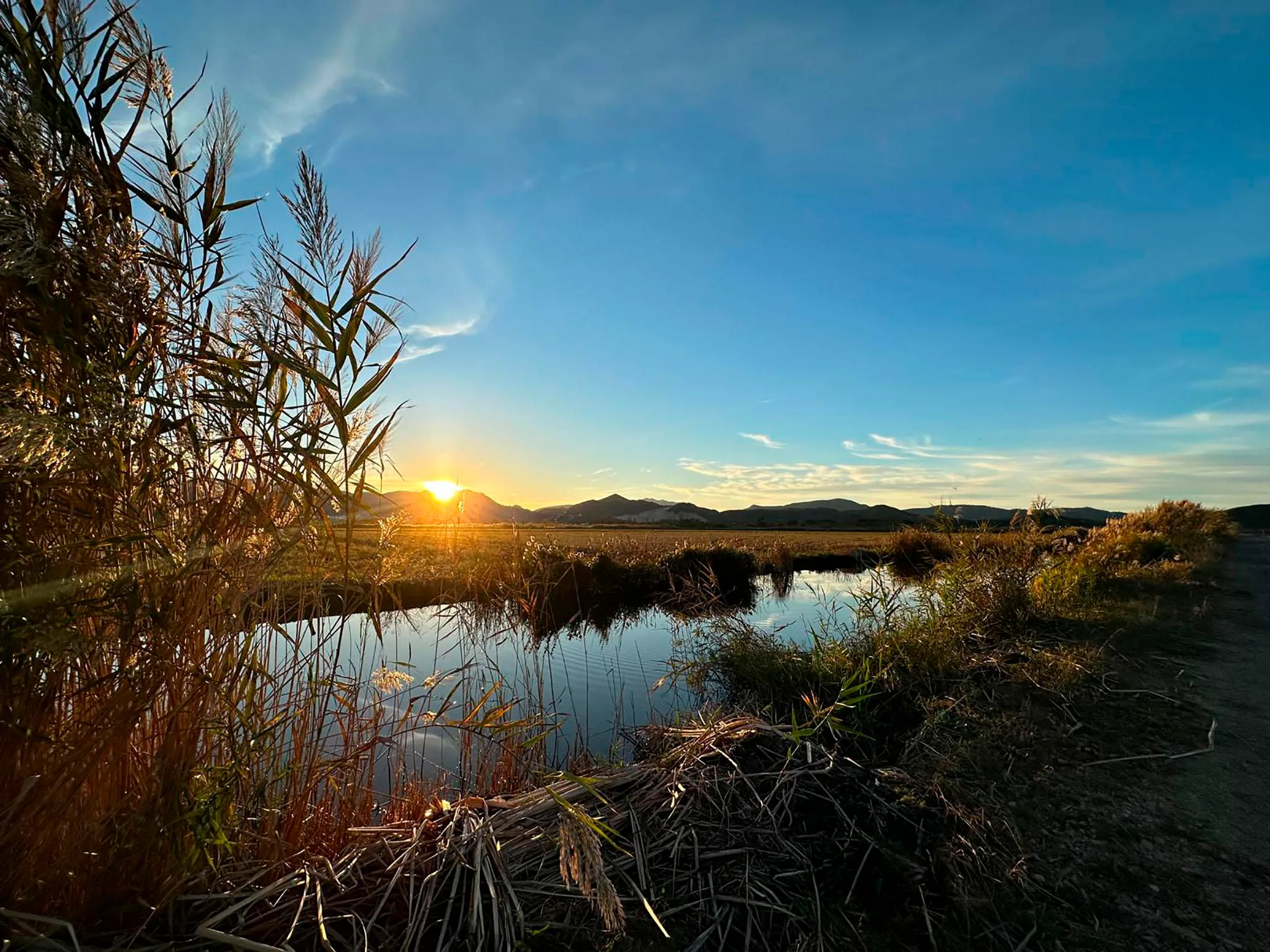 Paisaje del Parque Natural de la Marjal Pego-Oliva al atardecer, con un canal de agua y vegetación de juncos en primer plano y montañas al fondo.