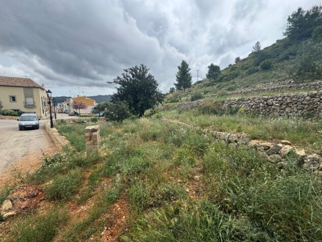 Pedreguer actúa contra incendios con un gran desbroce en dos zonas montañosas 5 Vista de una zona forestal periurbana con terrazas de piedra seca y vegetación abundante en Pedreguer.