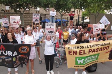 Manifestantes sostienen pancartas contra la tauromaquia y por los derechos de los animales en una calle de Ondara.