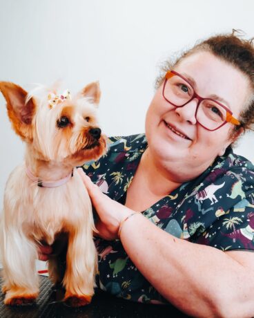 Servicios profesionales de peluquería canina