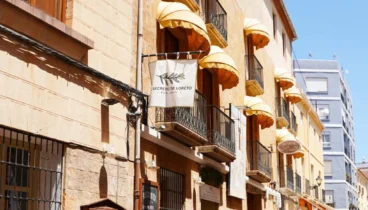 viajar con perro se ha convertido en la opcion prioritaria para miles de familias