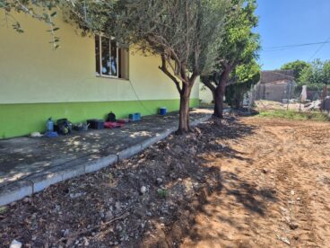 Fachada del edificio de la antigua escuela de Pamis con árboles delante.