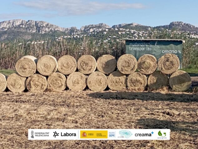 La Xarxa Agrícola impulsa la recogida de paja de arroz para proteger la Marjal de Pego-Oliva 1 Imagen: Pila de grandes balas redondas de paja de arroz en un campo, con montañas al fondo y una fila de logotipos institucionales en la parte inferior.