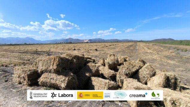 La Xarxa Agrícola impulsa la recogida de paja de arroz para proteger la Marjal de Pego-Oliva 3 Imagen: Balas de paja de arroz en un campo de la Marjal de Pego-Oliva con logotipos de las entidades colaboradoras al pie.