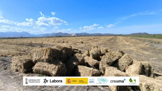 Immagine: Balle di paglia di riso in un campo della palude di Pego-Oliva, con i loghi degli enti collaboratori in basso.