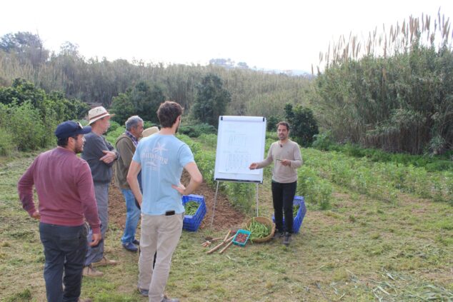 Benitatxell impulsa su futuro agrícola con nueva formación sobre la fava poblera y los cultivos de temporada 1 Imagen: Instructor imparte una clase práctica sobre el cultivo de la fava poblera en un huerto de Benitatxell ante un grupo de alumnos.