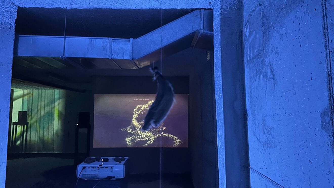 Inauguración de Gata'm Fest y 'Escoltant la Posidònia' 32