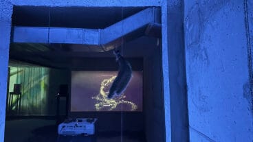 Inauguración de Gata’m Fest y ‘Escoltant la Posidònia’ 32