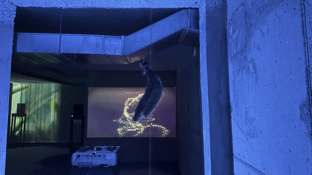 inauguracion de gatam fest y escoltant la posidonia 32