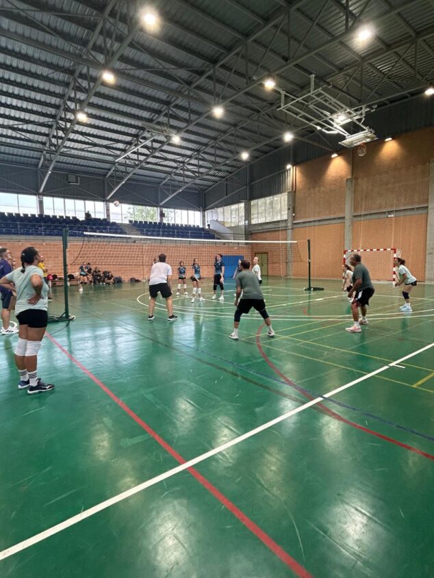 Imagen: Partido de voleibol en un pabellón cubierto con jugadores en la pista y espectadores en la grada.