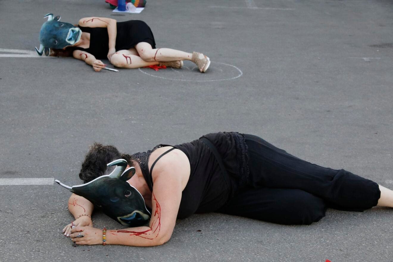 Performance contra las corridas de toros en Ondara
