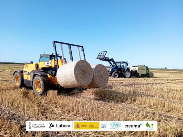 La Xarxa Agrícola impulsa la recogida de paja de arroz para proteger la Marjal de Pego-Oliva 2 Imagen: Tractores recogiendo balas redondas de paja de arroz en un campo de la Marjal de Pego-Oliva.