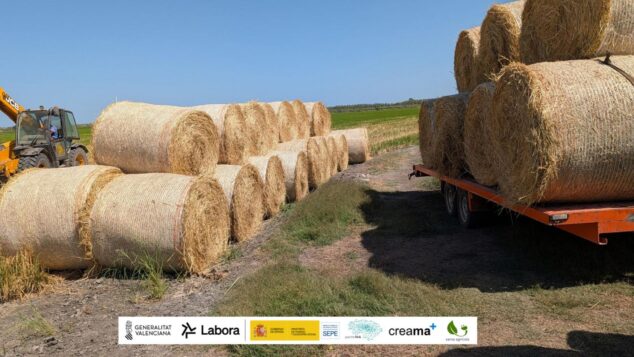 Imagen: Tractor cargando grandes balas redondas de paja de arroz en un remolque en un campo de la Marjal de Pego-Oliva, con logotipos de entidades colaboradoras al pie.