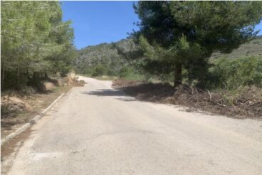 Carretera secundaria en un entorno natural de Calp con el pavimento envejecido y montones de ramas en el arcén.