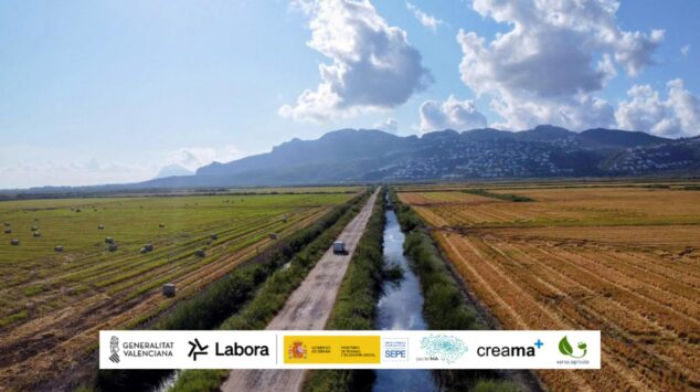 La Xarxa Agrícola impulsa la recogida de paja de arroz para proteger la Marjal de Pego-Oliva 4 Imagen: Vista aérea de campos en la Marjal de Pego-Oliva con una furgoneta y logotipos institucionales al pie.